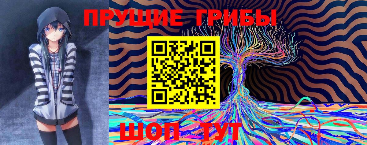 Тамбов  Галлюциногенные грибы GOLDEN TEACHER  Вход с VPN  закладки  Псилоцибиновые грибы Magic Shrooms 